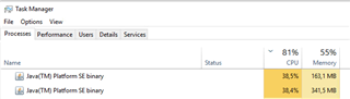 Task Manager showing high CPU usage by two Java(TM) Platform SE binary processes at 84.5% and 84.6% respectively.