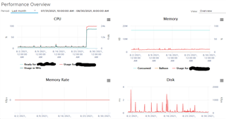 Performance Overview graph displaying a spike in CPU usage to 100% and consistent memory usage over time.