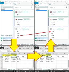 Screenshot showing SDL MultiTerm with a TermBase open, highlighting a term with synonyms listed below.