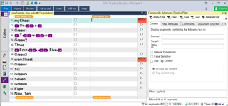 Trados Studio project view with Advanced Display Filter panel open, showing filtered segment numbers.