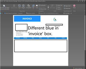 Screenshot of Trados Studio preview mode displaying the final invoice with a note highlighting a color discrepancy in the 'invoice' box.