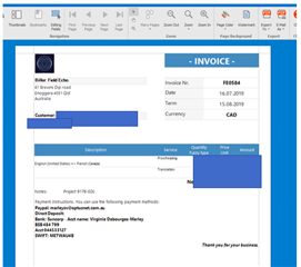 Print preview of an invoice using a default system template instead of the custom 'Field Echo Invoice v1' with added blue rectangles obscuring personal data.