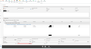 Screenshot of Trados Business Manager invoice page with a red error message indicating a negative value in the 'Total' column and a list of line items per project.