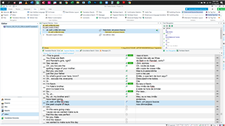 Trados Studio interface showing an open srt file with source and target columns, no visible errors.