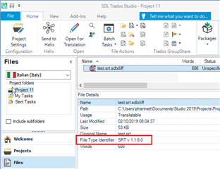 Trados Studio 'Files' view with 'File Type Identifier' for a selected file showing 'SRT v.1.1.6.0' indicating a potential version mismatch.
