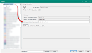 Trados Studio options menu with 'Subtitle Formats' selected, showing file type information for SRT, webVTT, SBV, and SUB formats.