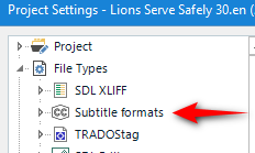 Trados Studio Project Settings window with 'Subtitle formats' selected, indicated by a red arrow.