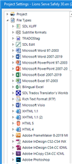 Trados Studio project settings window with file types listed, including SRT subtitle and SRT formats, no visible errors.