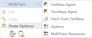 Right-click context menu with MultiTrans options including TextBase Agent, TermBase Agent, and Fetch From TextBase.