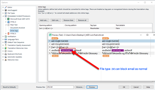 Trados Studio options dialog showing an error in regular expression for blocking email translation in a .txt file.