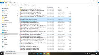 Screenshot of a file explorer window showing a list of documents with different icons, including a Word icon and unknown file types after translation in Trados.
