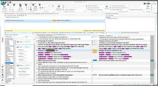 Screenshot of Trados Studio showing an issue with Multiterm where the source term 'haarserum' is multiplied and the target term 'serum pour les cheveux' is duplicated.