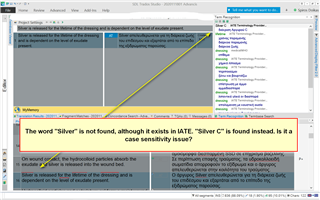 Trados Studio screenshot showing a warning that the word 'silver' is not found, although 'Silver' with a capital 'S' is found, suggesting a case sensitivity issue in term recognition.