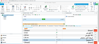 Trados Studio Editor view with segment '4 cm' confirmed and TM displaying it as a 100% match incorrectly.