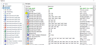 Trados Studio Options window showing File Types list with Microsoft Word 97-2003 unticked.