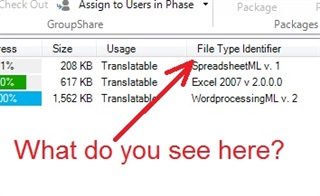 Trados Studio screenshot showing a list of file types with 'Excel 2007 v 2.0.0.0' highlighted and a red arrow pointing at it. A question 'What do you see here?' is displayed below.