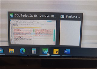 Screenshot of SDL Trados Studio application with a blank search window open, unable to interact with the search function.