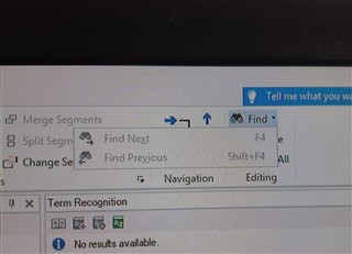 Close-up of SDL Trados Studio toolbar showing the 'Find' button highlighted but the search function not responding.