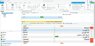 Trados Studio Editor view with segment number 5 '4 cm' highlighted, showing a 100% match with '4 Km' from TM.