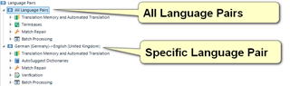 Trados Studio settings showing 'All Language Pairs' and a specific language pair with translation memory options.