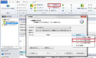 Trados Studio screenshot showing the Translation Memory view with a Bulk Edit option highlighted, indicating a method to manage custom fields.