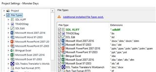 Trados Studio Project Settings window with a warning 'Additional unvalidated file types exist.' and a list of file types below.