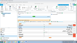 Trados Studio Editor view with propagate option activated, still showing incorrect 100% match for '4 cm'.