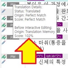 Screenshot of Trados Studio showing Translation Details with a score of 102%, indicating an error as scores should not exceed 100%.