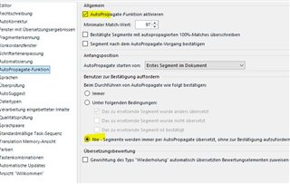 Trados Studio settings window showing Autopropagate function activated with a maximum match value of 100% and options for segment propagation within the document.