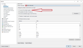 Trados Studio options window with a red arrow pointing to the 'Correct TWo INitial CApitals' function checkbox.