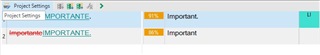 Trados Studio Project Settings showing a 91% match for the term 'IMPORTANT' with correct all caps formatting applied.