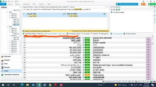 Screenshot of Trados Studio showing source segments in Arabic with commas and target segments in English missing commas in figures.