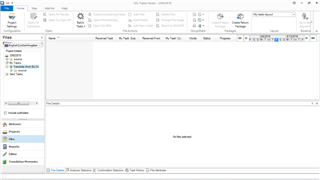 Trados Studio screenshot showing an empty Files tab with no files listed, except for a side menu displaying a project with its target language.