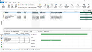 Trados Studio screenshot of the Projects tab displaying project 20602878 with details such as status, due date, and progress bar.