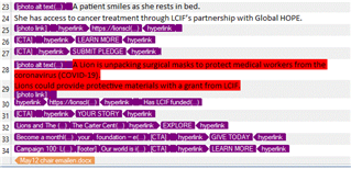 Screenshot of a Word document with hidden text turned on, showing additional pages and text formatting for a section about Lions providing surgical masks.