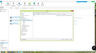 SDL Trados Studio options window with 'All Language Pairs' selected and a greyed out translation memory section.