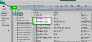 Trados Studio screenshot showing Project Settings with Microsoft Word file type highlighted and moved to the top of the list.