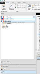 Trados Studio screenshot showing the Files view with the Source Language folder expanded and a document selected.