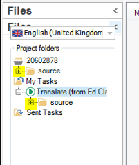 Trados Studio screenshot showing the Files pane with project folders. The '20602878' and 'My Tasks' folders are expanded, revealing 'source' subfolders with '+' signs indicating more content.