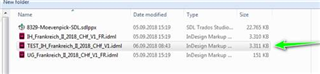 File explorer window showing a list of files including one with a red error icon named 'Translation_ID_2011_GL-01.idml'.