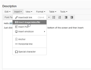 Trados Studio screenshot showing the 'Insert' dropdown menu with options for 'Insert link', 'Insert imagevideo', 'Insert emoticon', 'Anchor', 'Horizontal line', and 'Special character'.