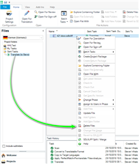 Trados Studio screenshot showing right-click context menu with 'Delete Files' option highlighted for a selected client folder named Melia.