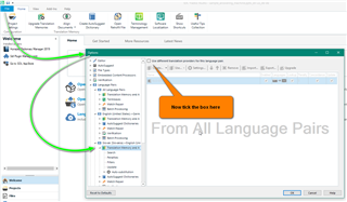 Trados Studio options menu with a green arrow pointing to the language pairs settings.
