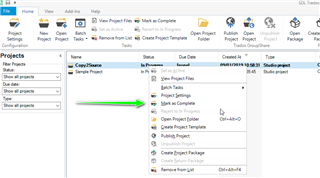 Trados Studio screenshot showing a right-click context menu on a project with options like Open Project, Copy Source, Batch Tasks, and more.