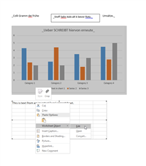 Word document in Trados Studio with a right-click context menu open over an embedded Excel spreadsheet offering options like 'Edit Data'.
