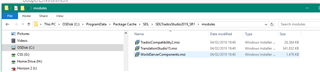 File Explorer window showing the contents of the Package Cache folder for SDL Trados Studio 2019 SR1 with a file named WorldServer Components.msi highlighted.