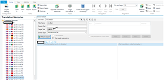 Trados Studio interface after applying filter to search for specific Chinese characters in the target text, resulting in a message 'No translation units to display.'