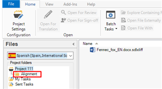 Trados Studio screenshot showing the Files view with a project named 'Project 1111' selected, and a file named 'Fennec_fox_EN.docx.sdlxliff' under the 'My Tasks' folder.