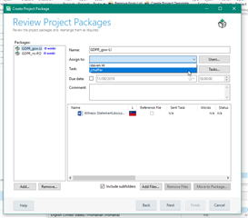 Review Project Packages window in Trados Studio with a completed package named 'GOPR6734_en-US' and options to 'Add', 'Remove', or 'Include Subfolders'.