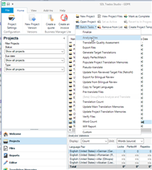 Trados Studio batch analysis window showing a missing German file, indicated by the absence of a file name.